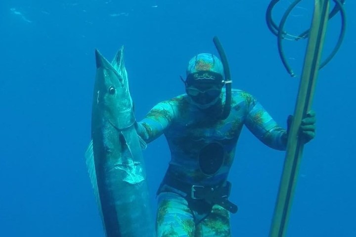 baja spearfishing adventures