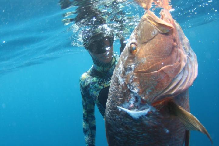 baja spearfishing adventures