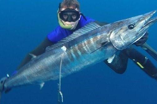 spearfishing cabo